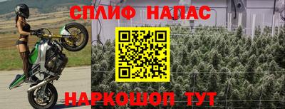 марихуана Будённовск