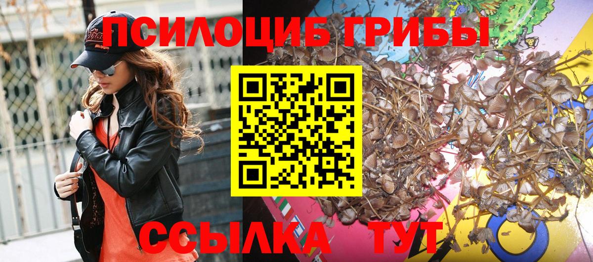 Псилоцибиновые грибы прущие грибы  Вход с VPN  Переславль-Залесский 
