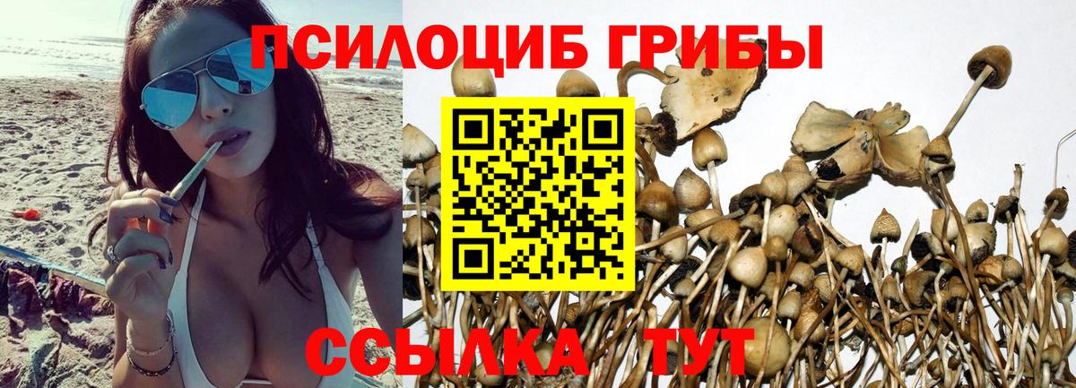 Галлюциногенные грибы мицелий Переславль-Залесский